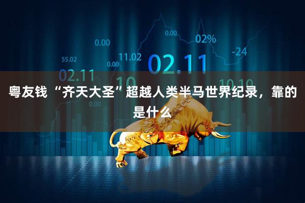 粤友钱 “齐天大圣”超越人类半马世界纪录，靠的是什么